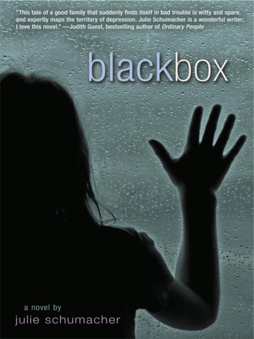 Title details for Black Box by Julie Schumacher - Wait list